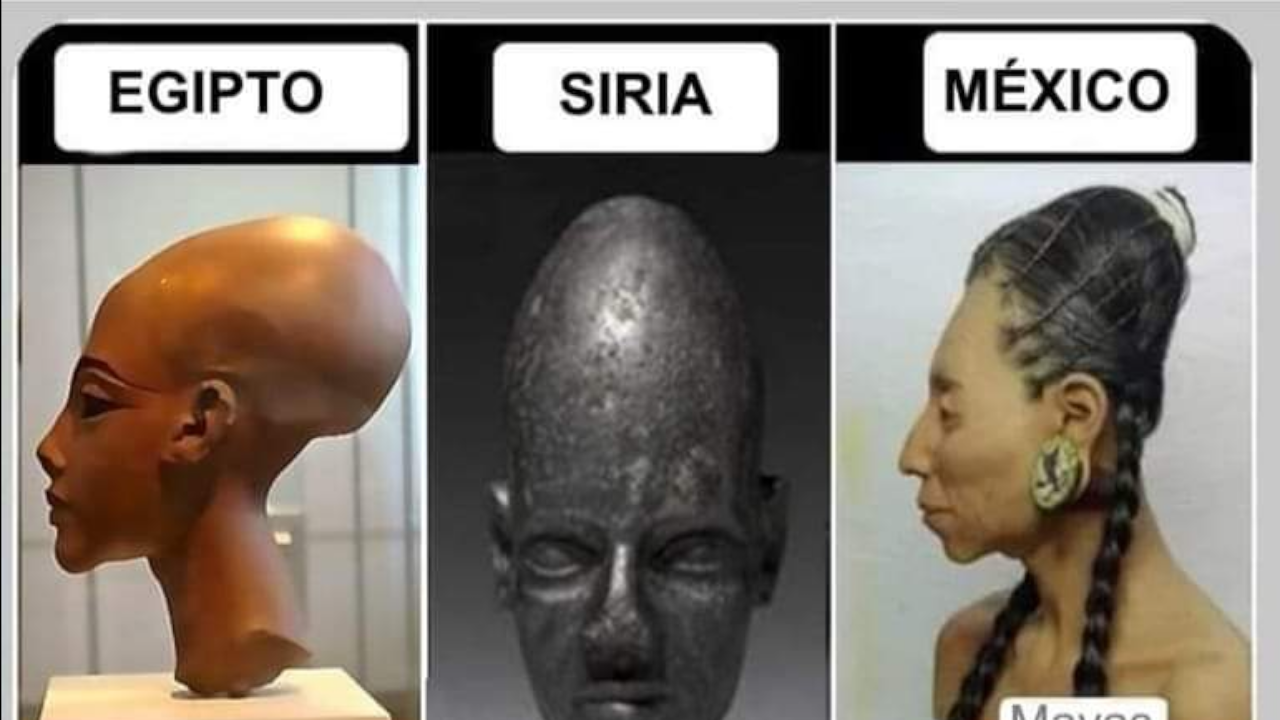 El misterio de los cráneos: prueba extraterrestre?