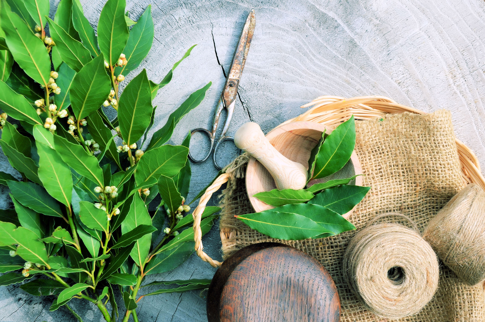 Magia con laurel: aprende a fabricar bolsitas energéticas