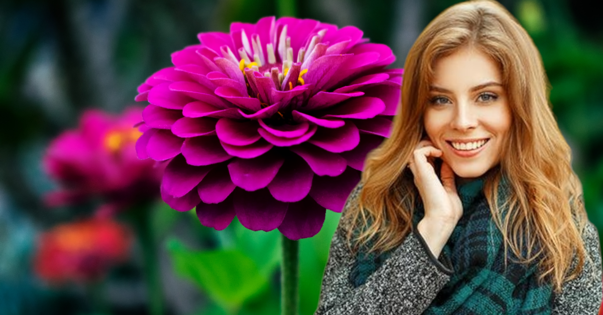 12 baños con leche y miel para la belleza, la juventud y el bienestar.