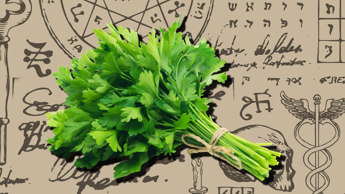 Magia casera con perejil: rituales y oraciones efectivos